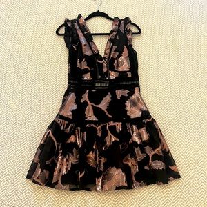 Rebecca Taylor beautiful dress